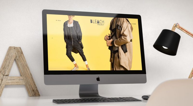Bleach project inc Ecommerce Website Development